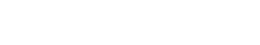 L1